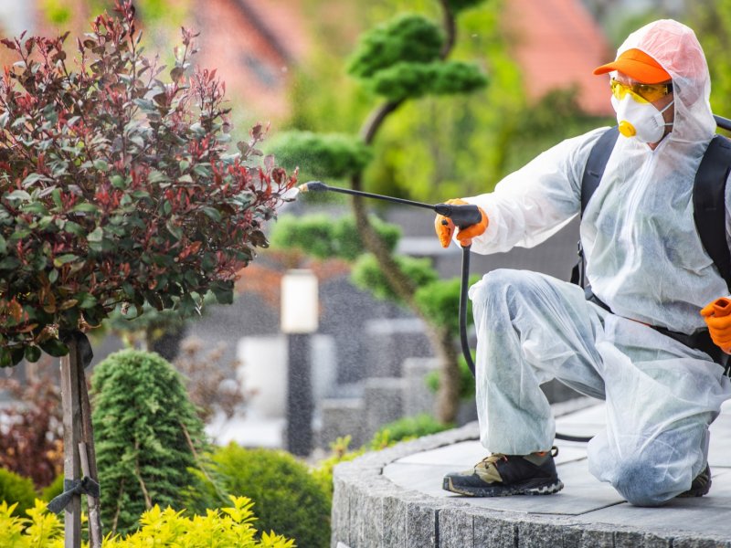 Gercüş Haşere İlaçlama